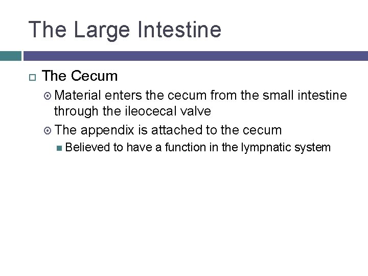 The Large Intestine The Cecum Material enters the cecum from the small intestine through