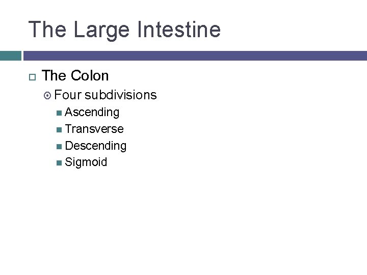 The Large Intestine The Colon Four subdivisions Ascending Transverse Descending Sigmoid 