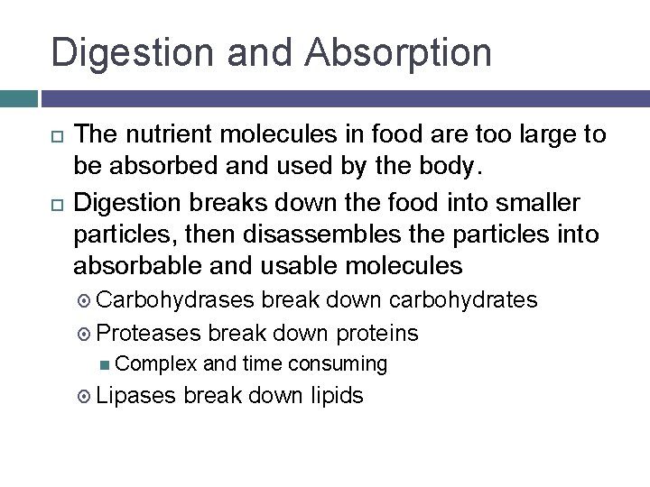 Digestion and Absorption The nutrient molecules in food are too large to be absorbed