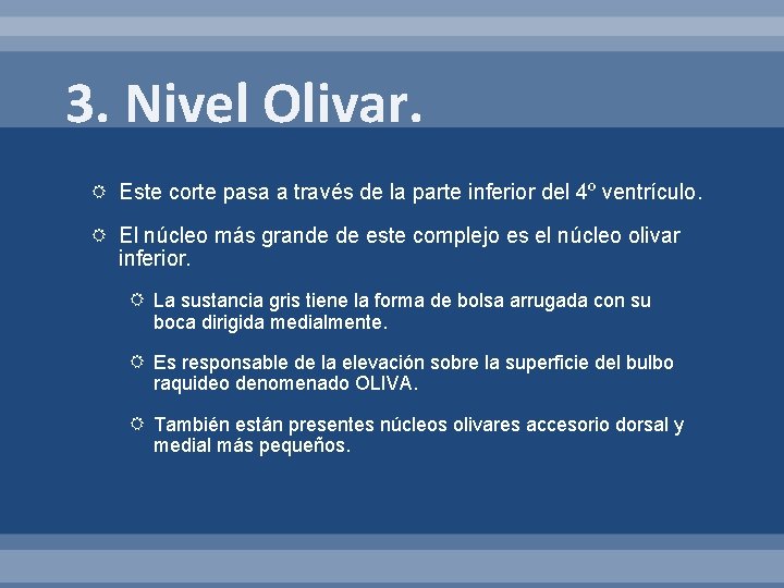 3. Nivel Olivar. Este corte pasa a través de la parte inferior del 4º