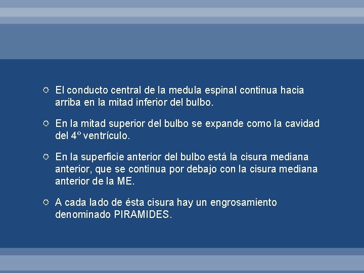  El conducto central de la medula espinal continua hacia arriba en la mitad