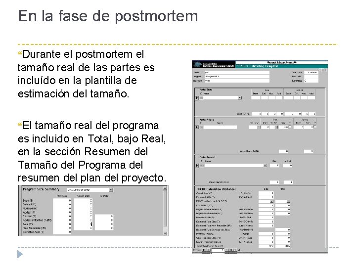 En la fase de postmortem Durante el postmortem el tamaño real de las partes