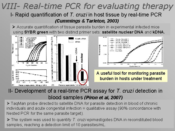 VIII- Real-time PCR for evaluating therapy I- Rapid quantification of T. cruzi in host