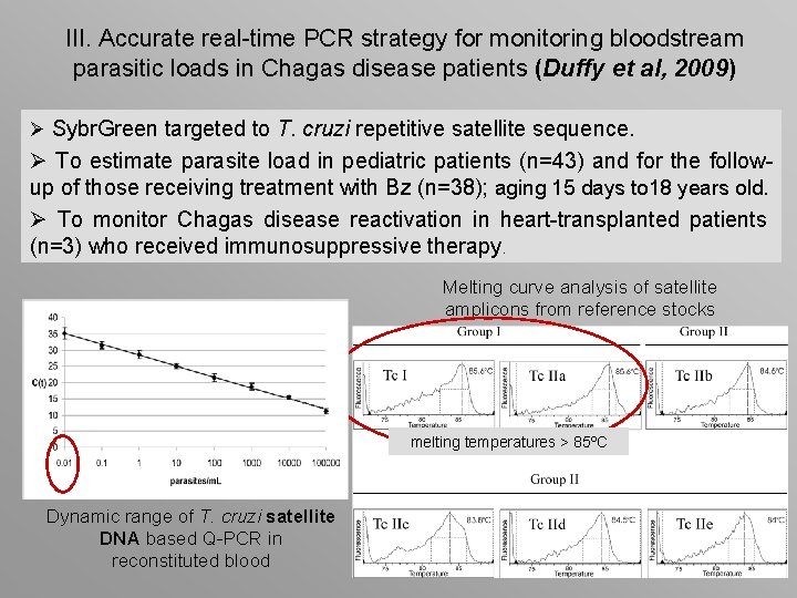 III. Accurate real-time PCR strategy for monitoring bloodstream parasitic loads in Chagas disease patients