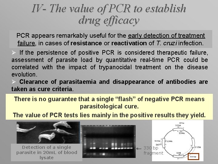 IV- The value of PCR to establish drug efficacy PCR appears remarkably useful for