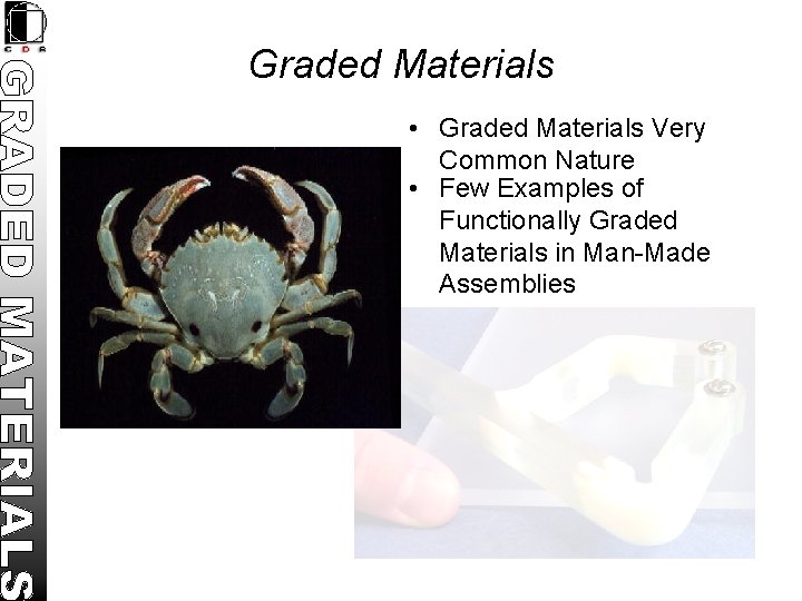 Graded Materials • Graded Materials Very Common Nature • Few Examples of Functionally Graded