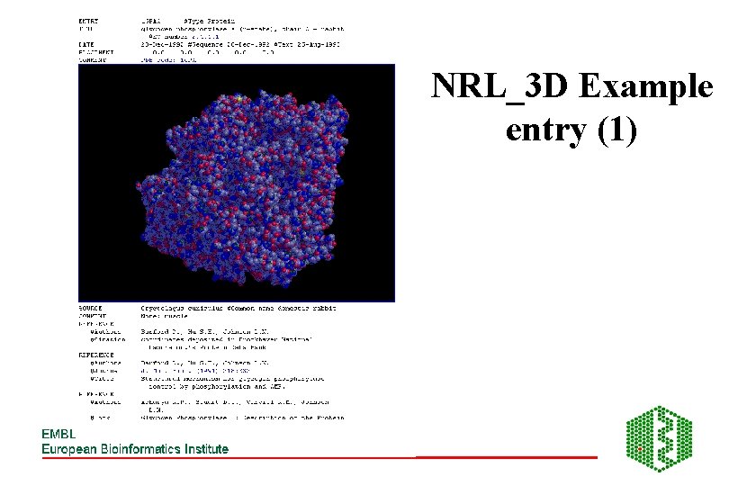 NRL_3 D Example entry (1) 
