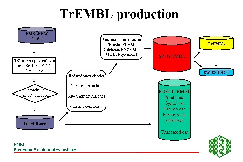 Tr. EMBL production EMBLNEW flatfile Automatic annotation (Prosite, PFAM, Rulebase, ENZYME, MGD, Flybase…) CDS