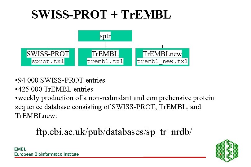 SWISS-PROT + Tr. EMBL • 94 000 SWISS-PROT entries • 425 000 Tr. EMBL