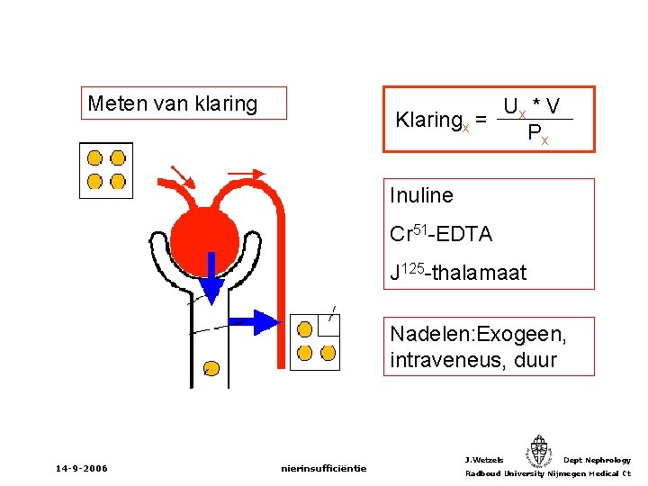 Meten van klaring Ux * V Klaringx = Px Inuline Cr 51 -EDTA J