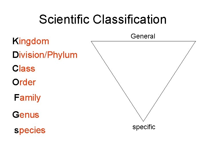 Scientific Classification Kingdom General Division/Phylum Class Order Family Genus species specific 