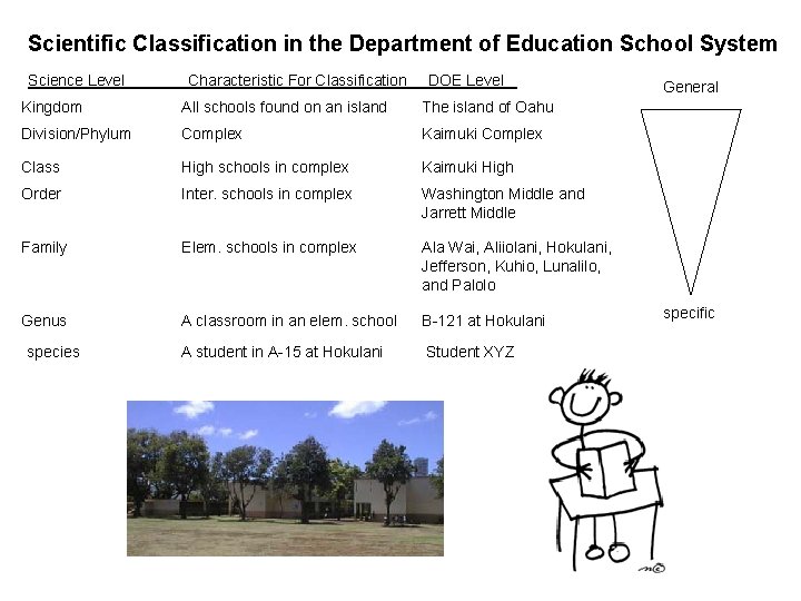 Scientific Classification in the Department of Education School System Science Level Characteristic For Classification