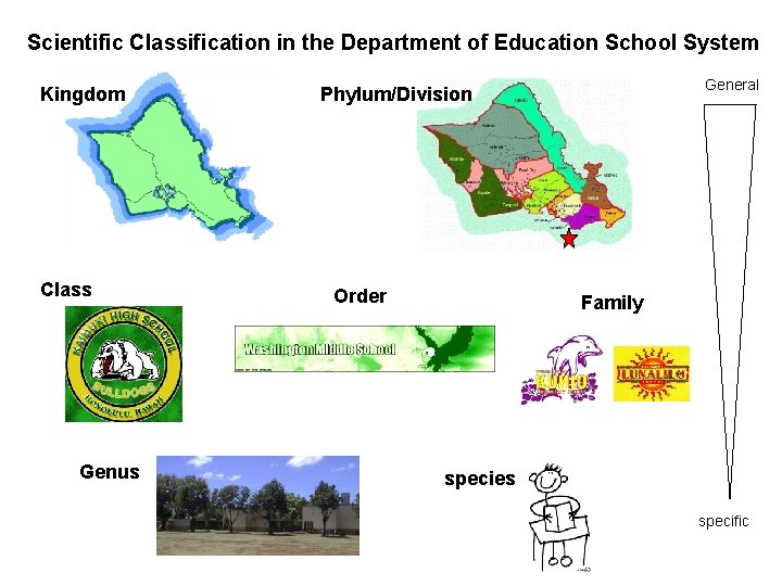 Scientific Classification in the Department of Education School System Kingdom Class Genus General Phylum/Division