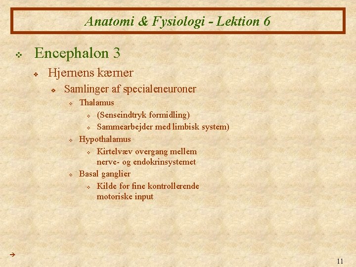 Anatomi & Fysiologi - Lektion 6 v Encephalon 3 v Hjernens kærner v Samlinger