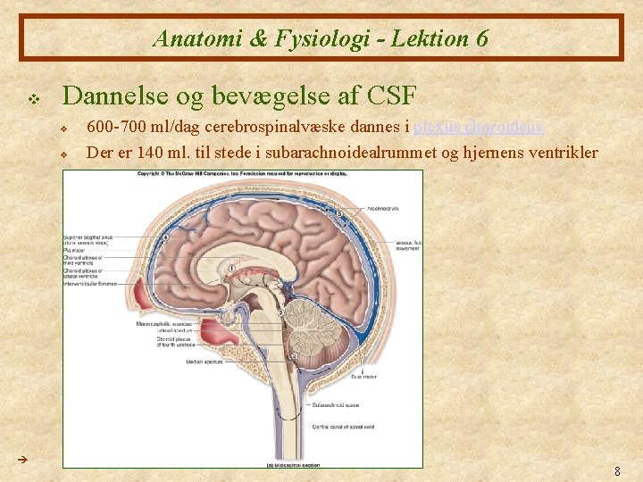 Anatomi & Fysiologi - Lektion 6 v Dannelse og bevægelse af CSF v v