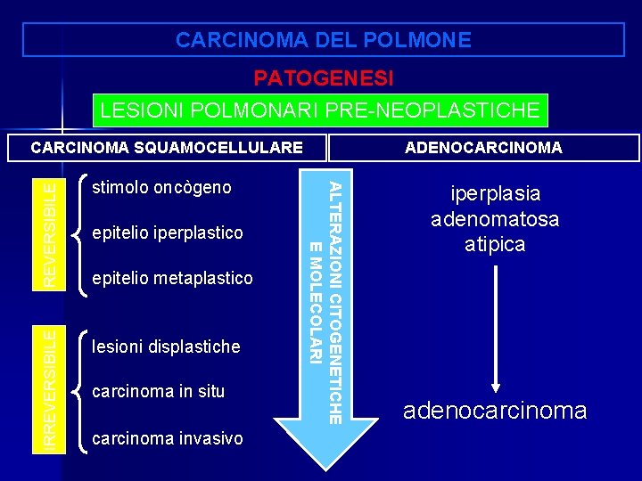 CARCINOMA DEL POLMONE PATOGENESI LESIONI POLMONARI PRE-NEOPLASTICHE REVERSIBILE lesioni displastiche epitelio iperplastico epitelio metaplastico