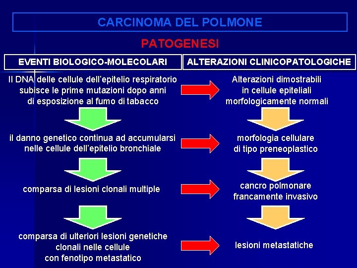 CARCINOMA DEL POLMONE PATOGENESI EVENTI BIOLOGICO-MOLECOLARI ALTERAZIONI CLINICOPATOLOGICHE Il DNA delle cellule dell’epitelio respiratorio