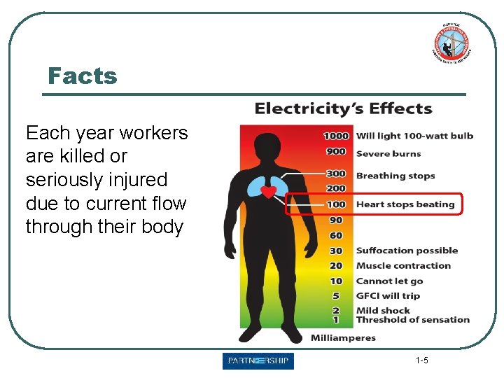 Facts Each year workers are killed or seriously injured due to current flow through