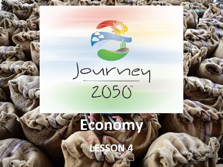 Economy LESSON 4 