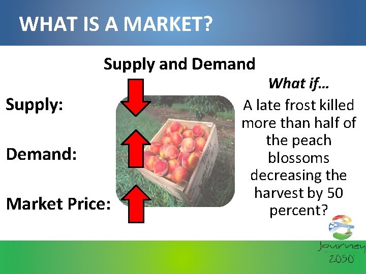 WHAT IS A MARKET? Supply and Demand Supply: Demand: Market Price: What if… A
