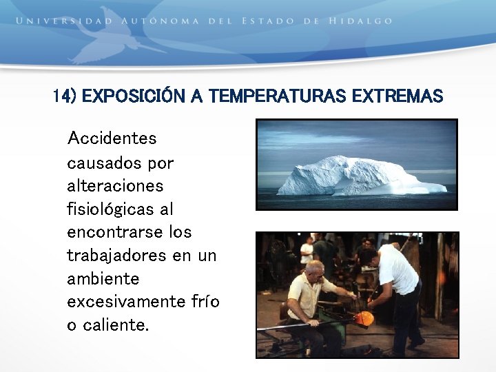 14) EXPOSICIÓN A TEMPERATURAS EXTREMAS Accidentes causados por alteraciones fisiológicas al encontrarse los trabajadores