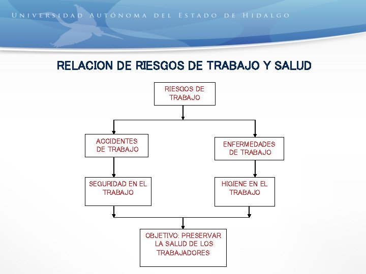 RELACION DE RIESGOS DE TRABAJO Y SALUD RIESGOS DE TRABAJO ACCIDENTES DE TRABAJO ENFERMEDADES