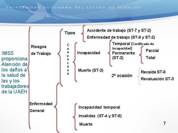 Tipos Accidente de trabajo (ST-7 y ST-2) Enfermedad de trabajo (ST-9 y ST-2) C