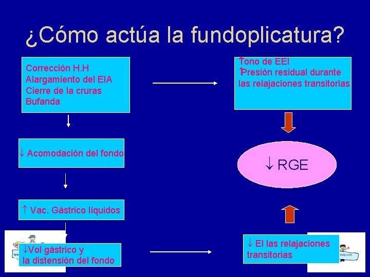 ¿Cómo actúa la fundoplicatura? Corrección H. H Alargamiento del EIA Cierre de la cruras