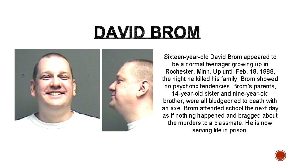 Sixteen-year-old David Brom appeared to be a normal teenager growing up in Rochester, Minn.