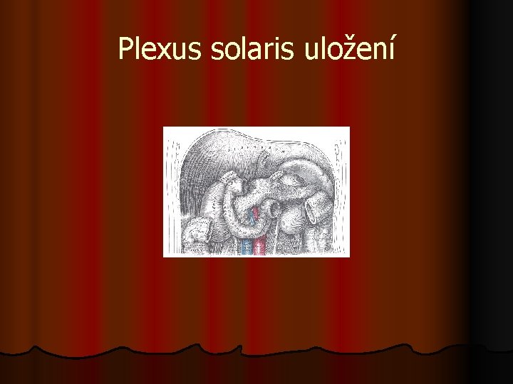 Plexus solaris uložení 