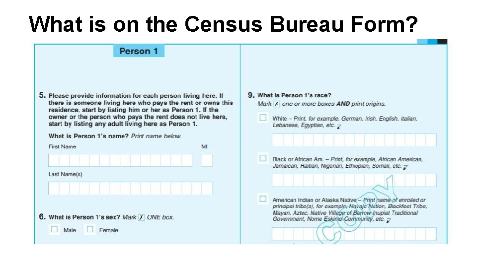 What is on the Census Bureau Form? 