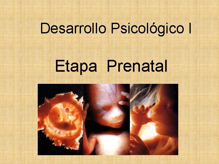 Desarrollo Psicológico I Etapa Prenatal 