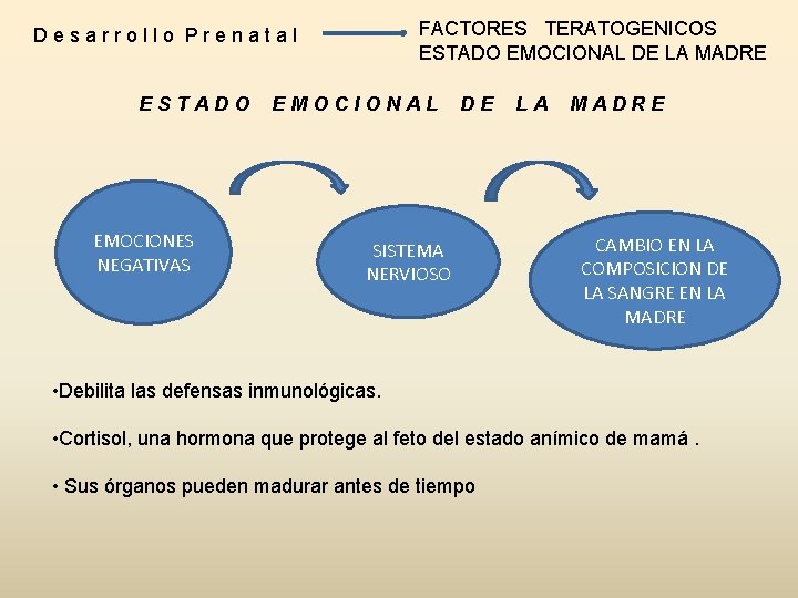 FACTORES TERATOGENICOS ESTADO EMOCIONAL DE LA MADRE Desarrollo Prenatal ESTADO EMOCIONES NEGATIVAS EMOCIONAL DE