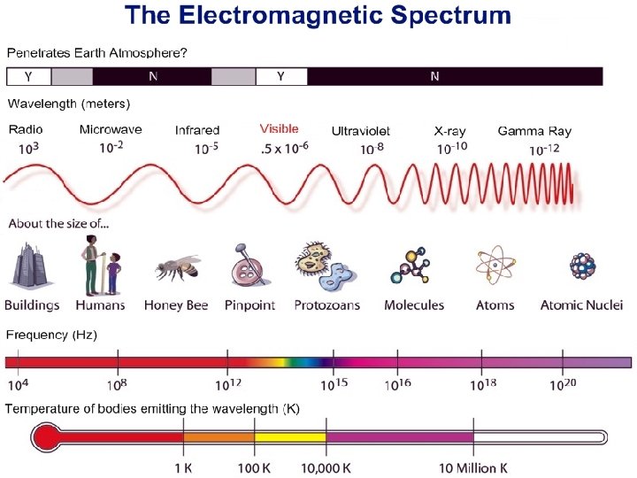 The Electromagnetic Spectrum 11 