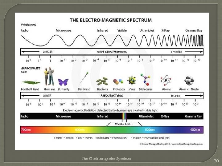 The Electromagnetic Spectrum 20 