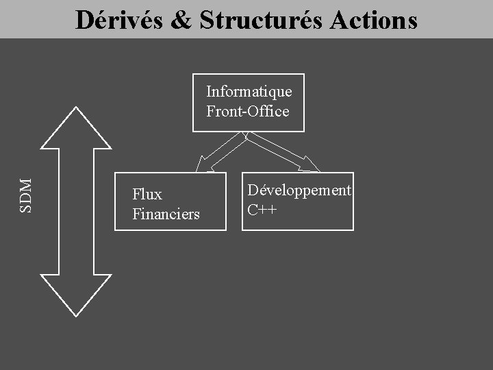 Dérivés & Structurés Actions SDM Informatique Front-Office Flux Financiers Développement C++ 