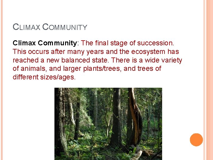 CLIMAX COMMUNITY Climax Community: The final stage of succession. This occurs after many years