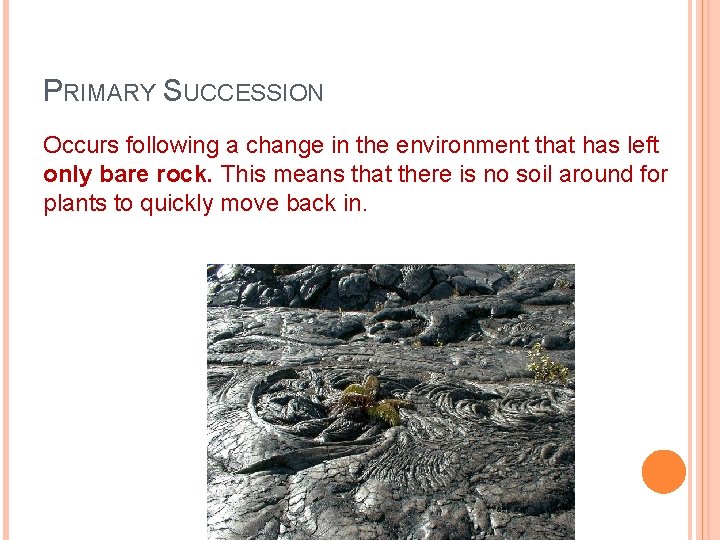 PRIMARY SUCCESSION Occurs following a change in the environment that has left only bare