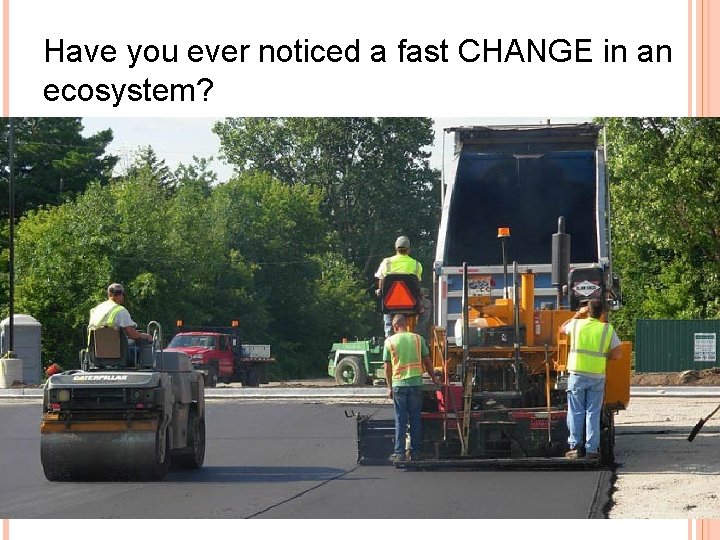 Have you ever noticed a fast CHANGE in an ecosystem? 