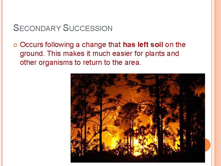 SECONDARY SUCCESSION Occurs following a change that has left soil on the ground. This