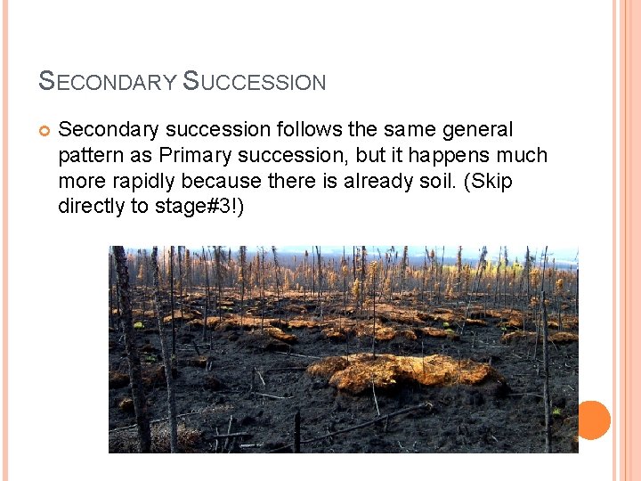 SECONDARY SUCCESSION Secondary succession follows the same general pattern as Primary succession, but it