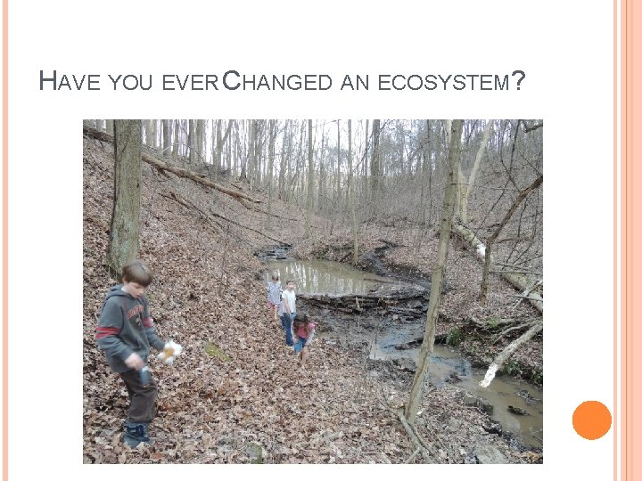 HAVE YOU EVER CHANGED AN ECOSYSTEM? 