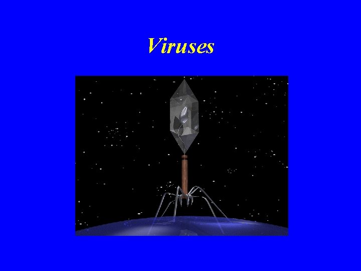 Viruses 