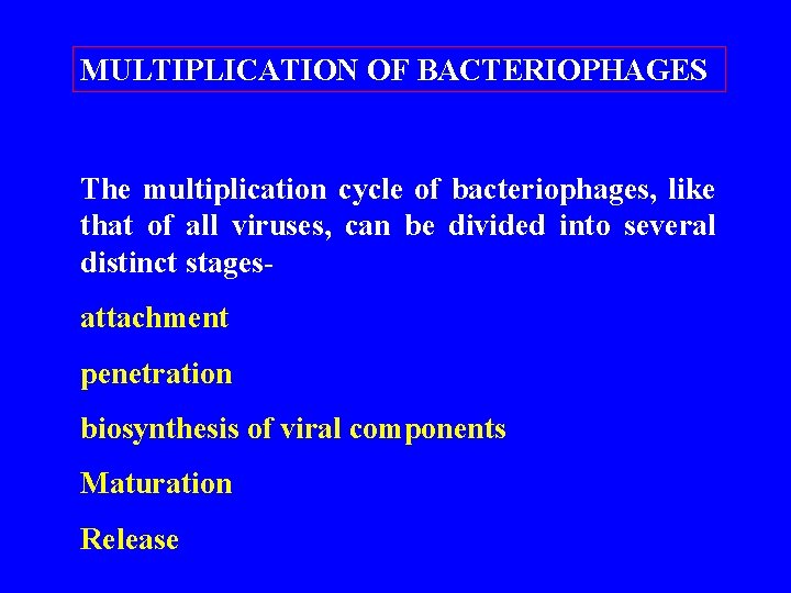 MULTIPLICATION OF BACTERIOPHAGES The multiplication cycle of bacteriophages, like that of all viruses, can