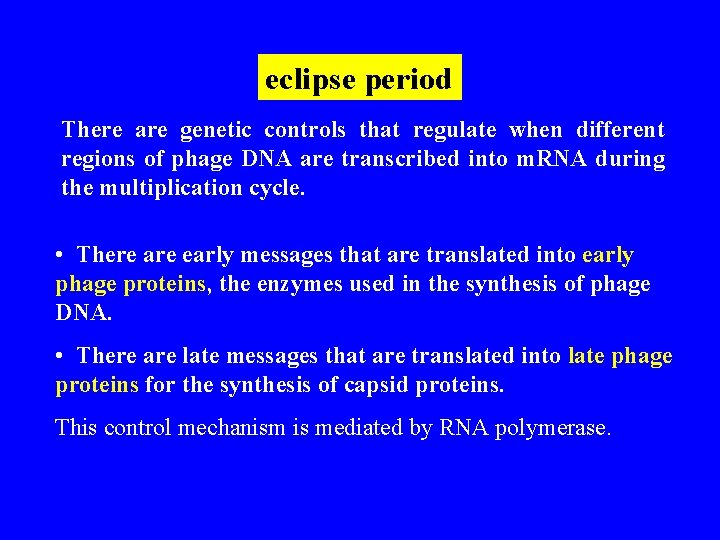 eclipse period There are genetic controls that regulate when different regions of phage DNA