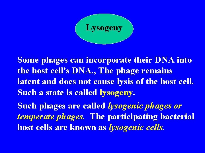 Lysogeny Some phages can incorporate their DNA into the host cell's DNA. , The