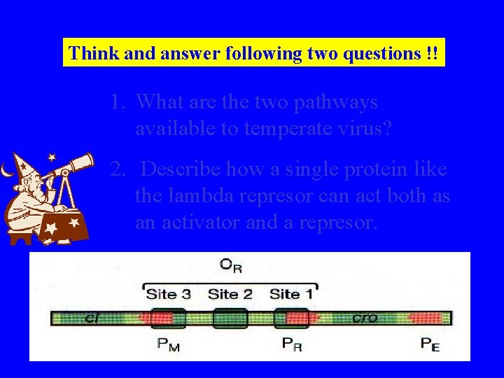 Think and answer following two questions !! 1. What are the two pathways available