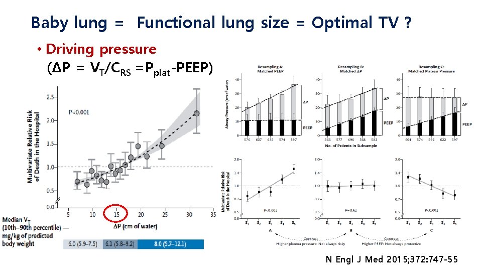 Baby lung = Functional lung size = Optimal TV ? • Driving pressure (ΔP