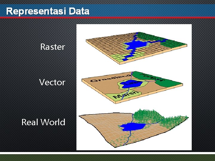 Representasi Data Raster Vector Real World 