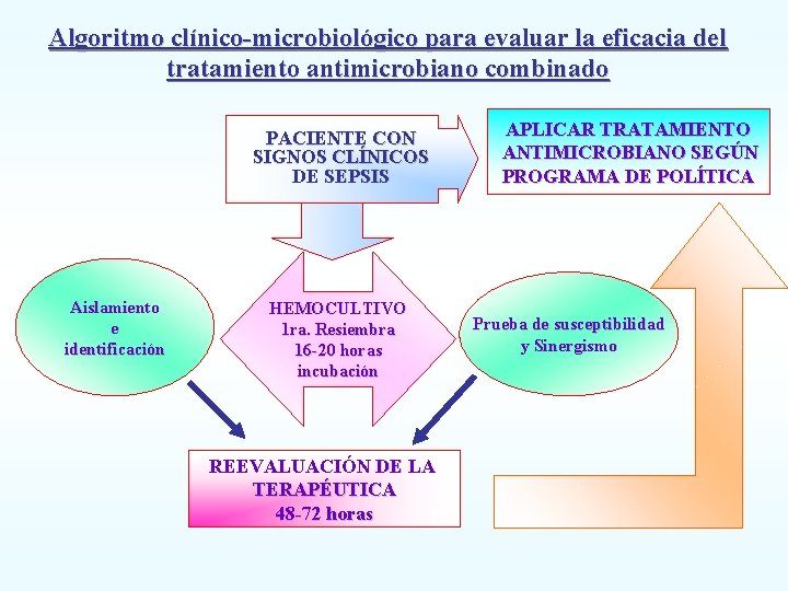 Algoritmo clínico-microbiológico para evaluar la eficacia del tratamiento antimicrobiano combinado PACIENTE CON RECIEN NACIDO